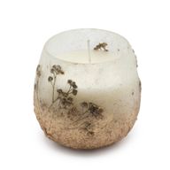 Wildlight Woods - Glass Jar Candles - Small