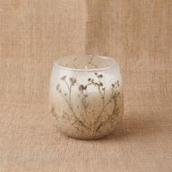 Wildlight Woods - Glass Jar Candles - Small