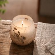 Wildlight Woods - Glass Jar Candles - Small