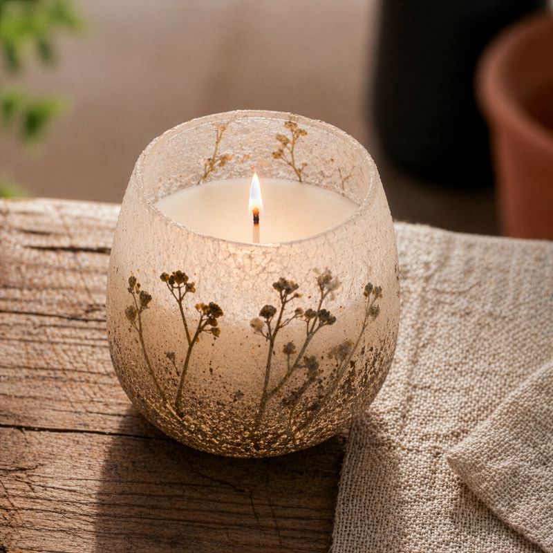 Wildlight Woods - Glass Jar Candles - Medium