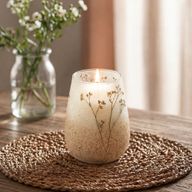 Wildlight Woods - Glass Jar Candles - Tall