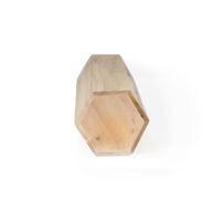 Manglid Wood Healing Rainstick - 50cm (6 minutes)