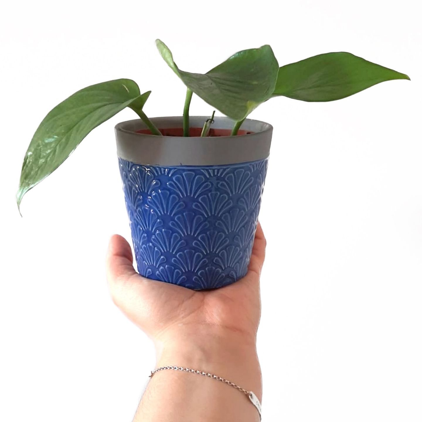 Home is Home Soy Candle Pots