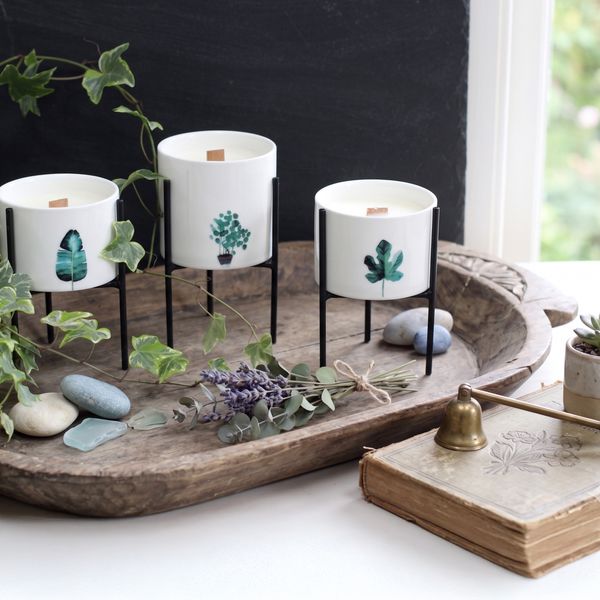 Botanical Wooden Wick Soy Candles