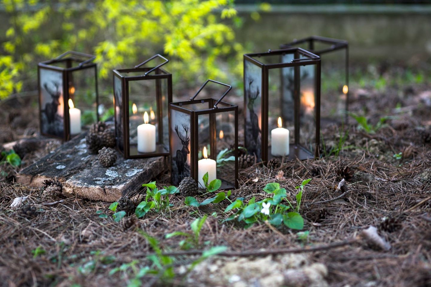 Pillar Candles