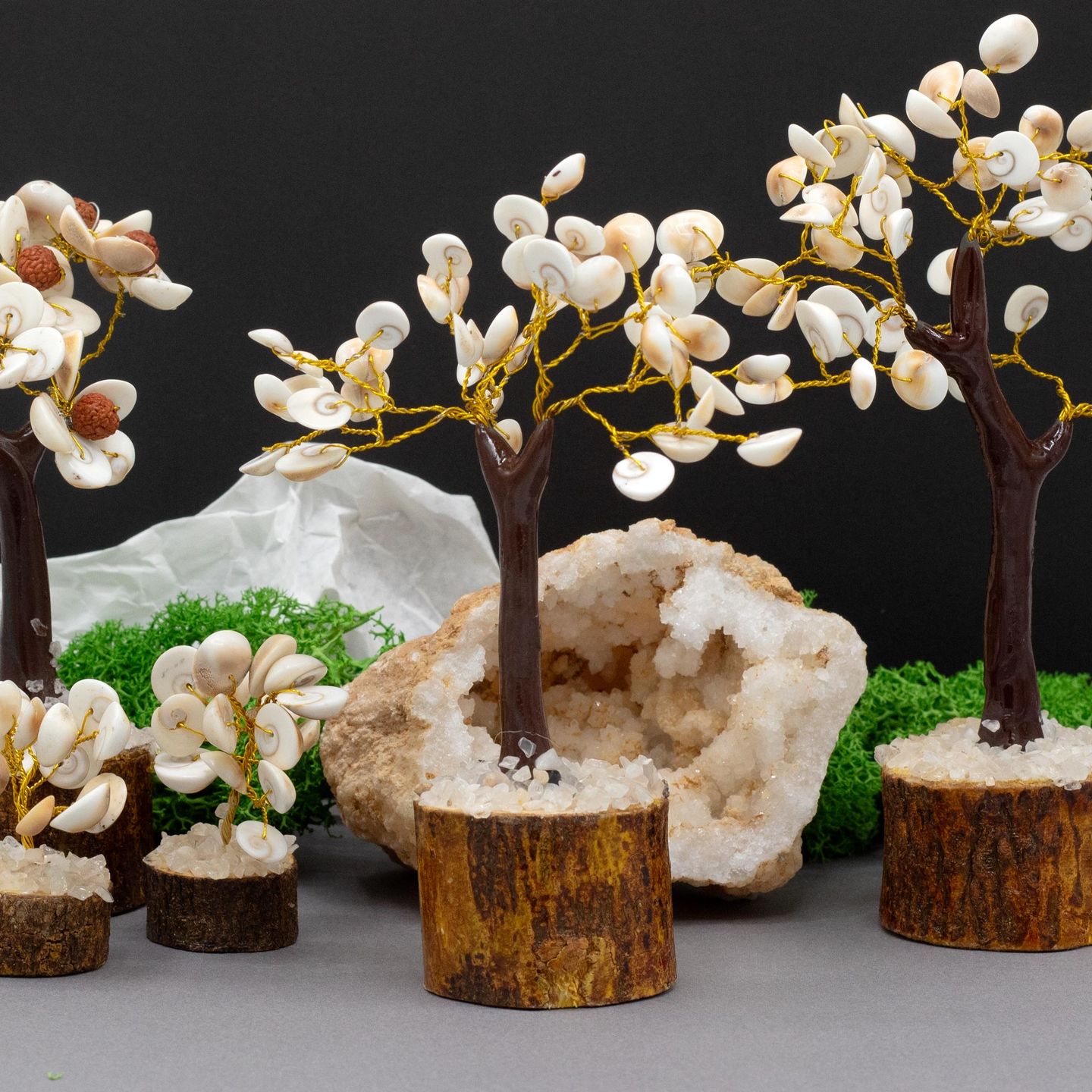 Gomati Chakra Stone Trees