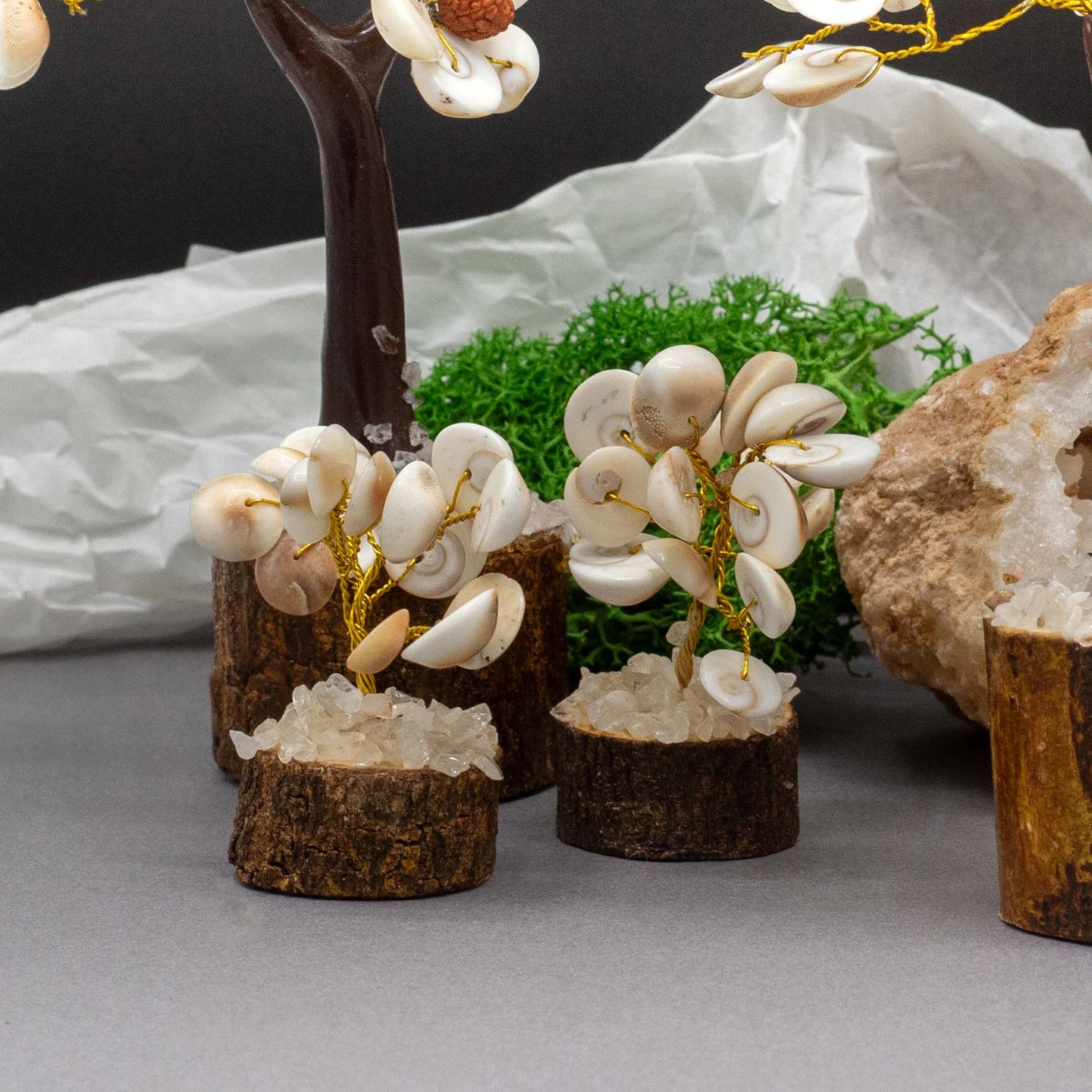 Gomati Chakra Stone Trees