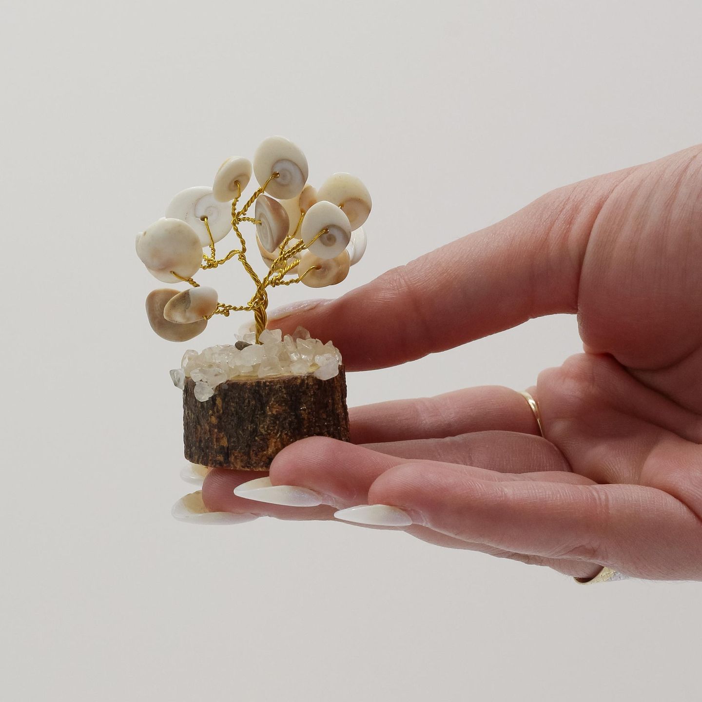 Gomati Chakra Stone Trees