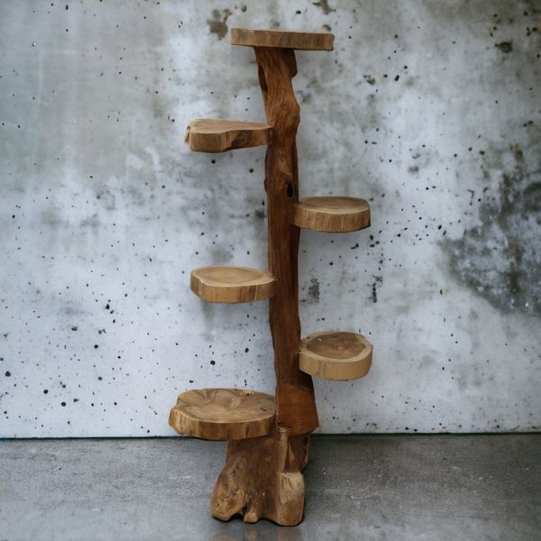 Natural Teak Display