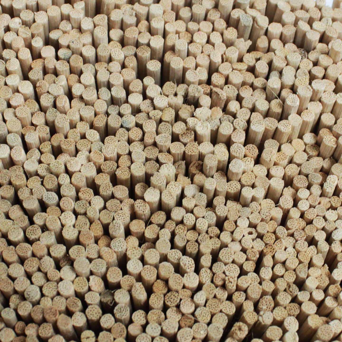 Bulk Reed Diffuser Sticks