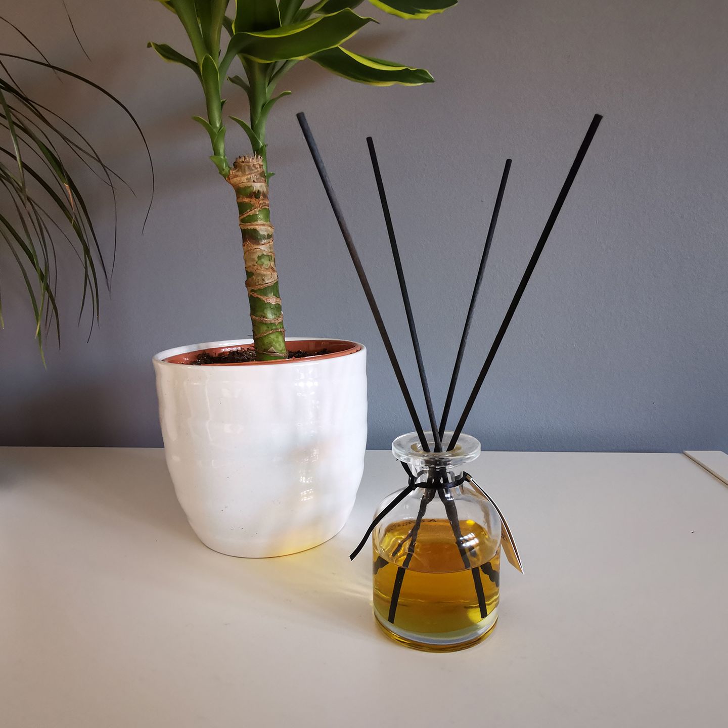 Bulk Reed Diffuser Sticks