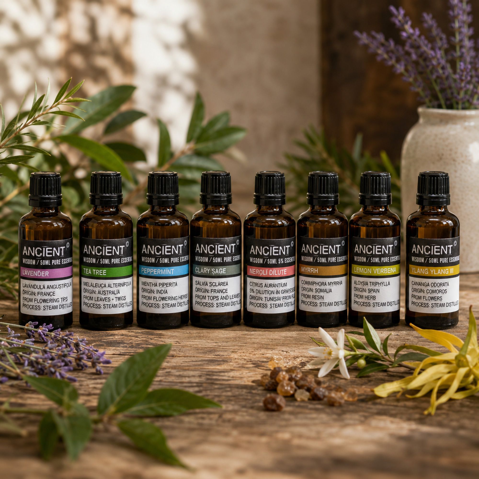 50ml Organic Essential Oils for Professionals
