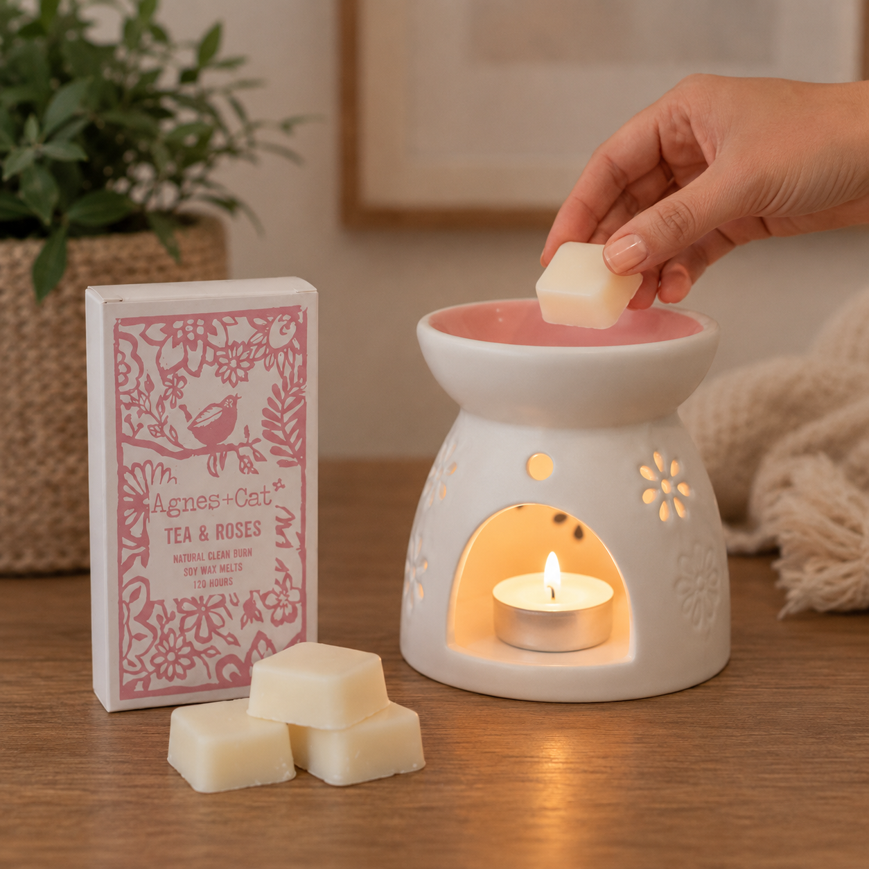 Agnes+Cat Soy Wax Melts