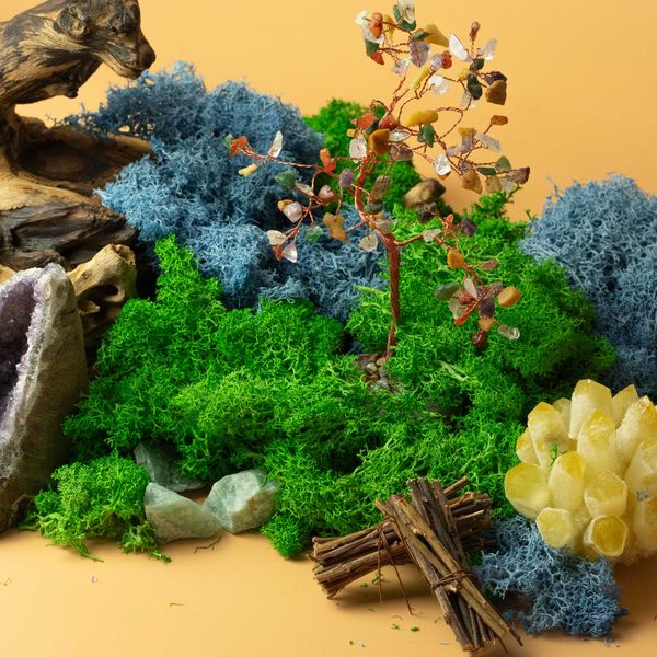 Quality Decorative Reindeer Moss - 635g Box