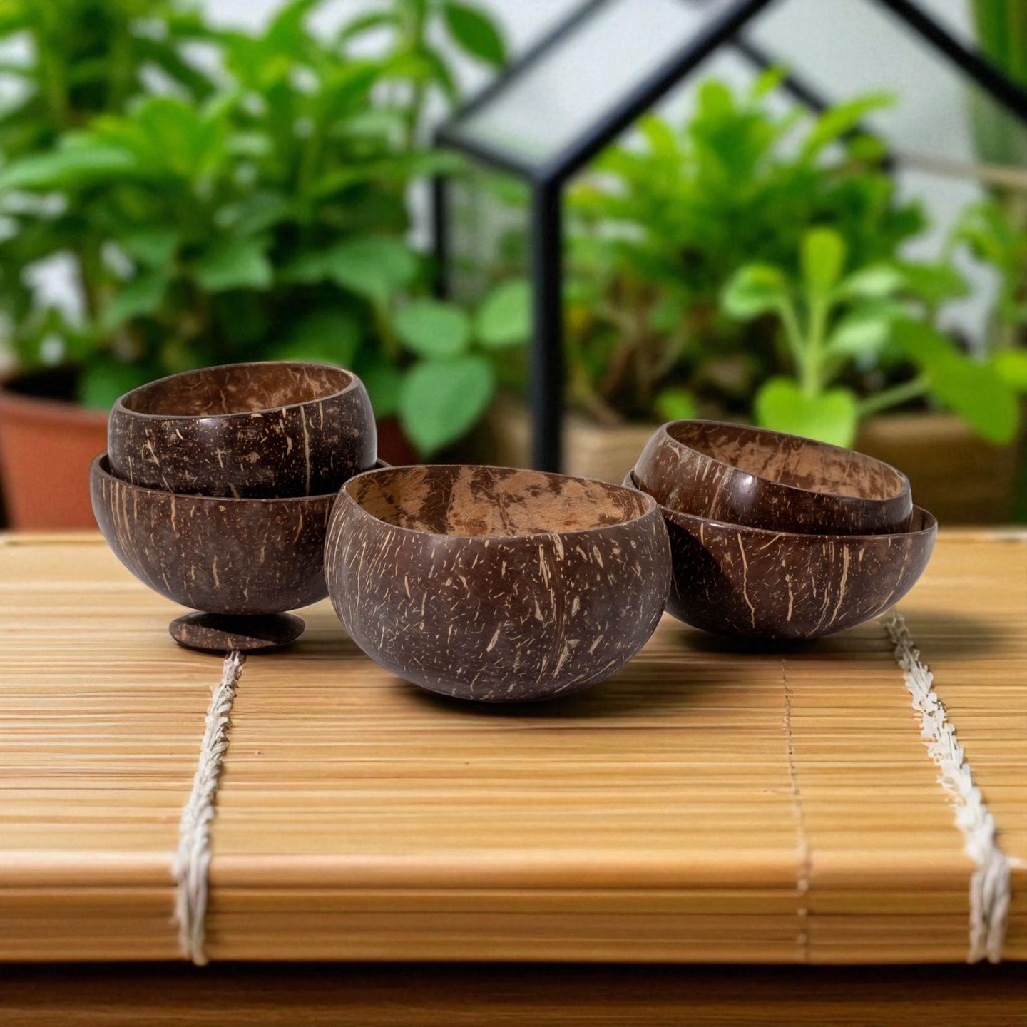 Natural Coconut Bowls