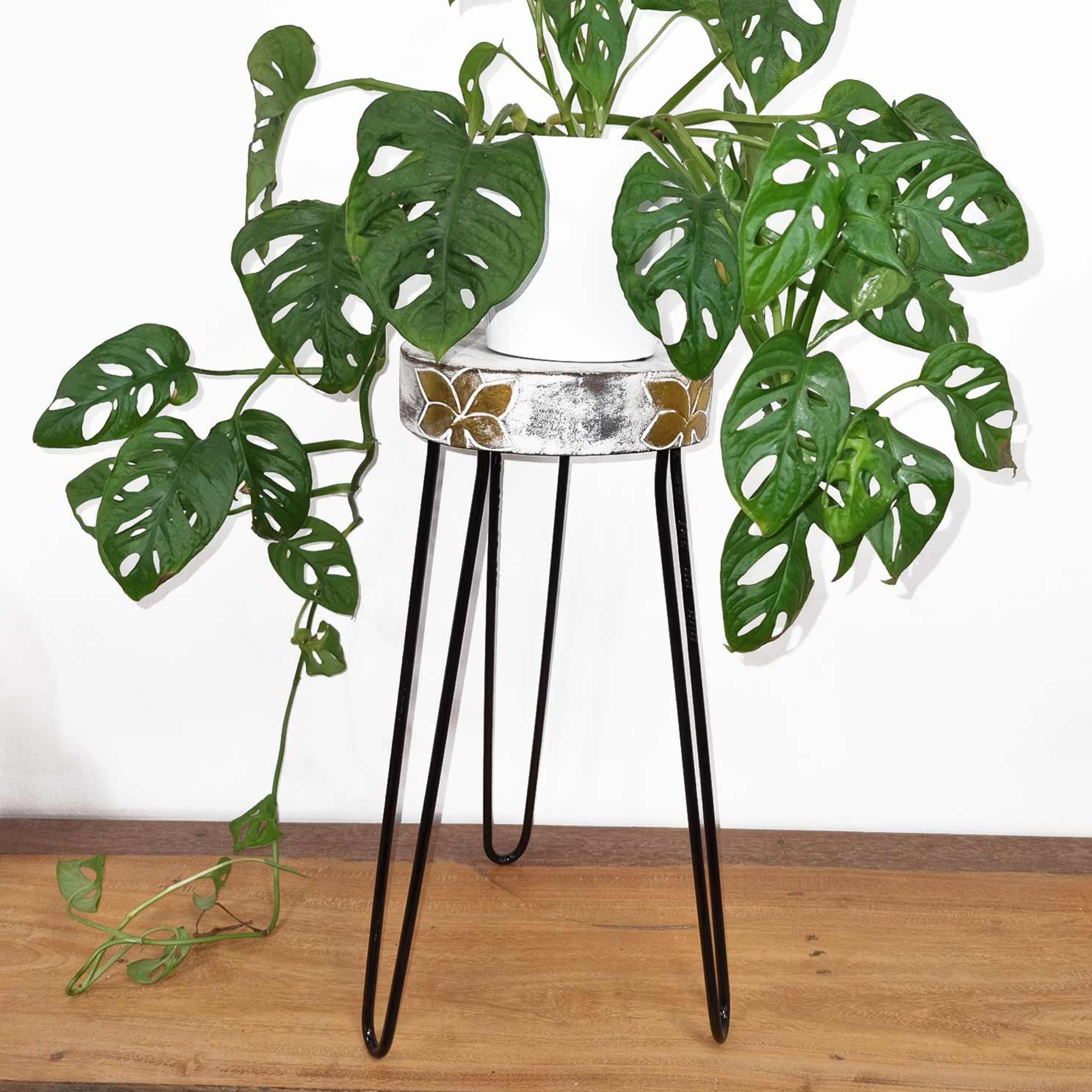 Albasia Wood Plant Stands
