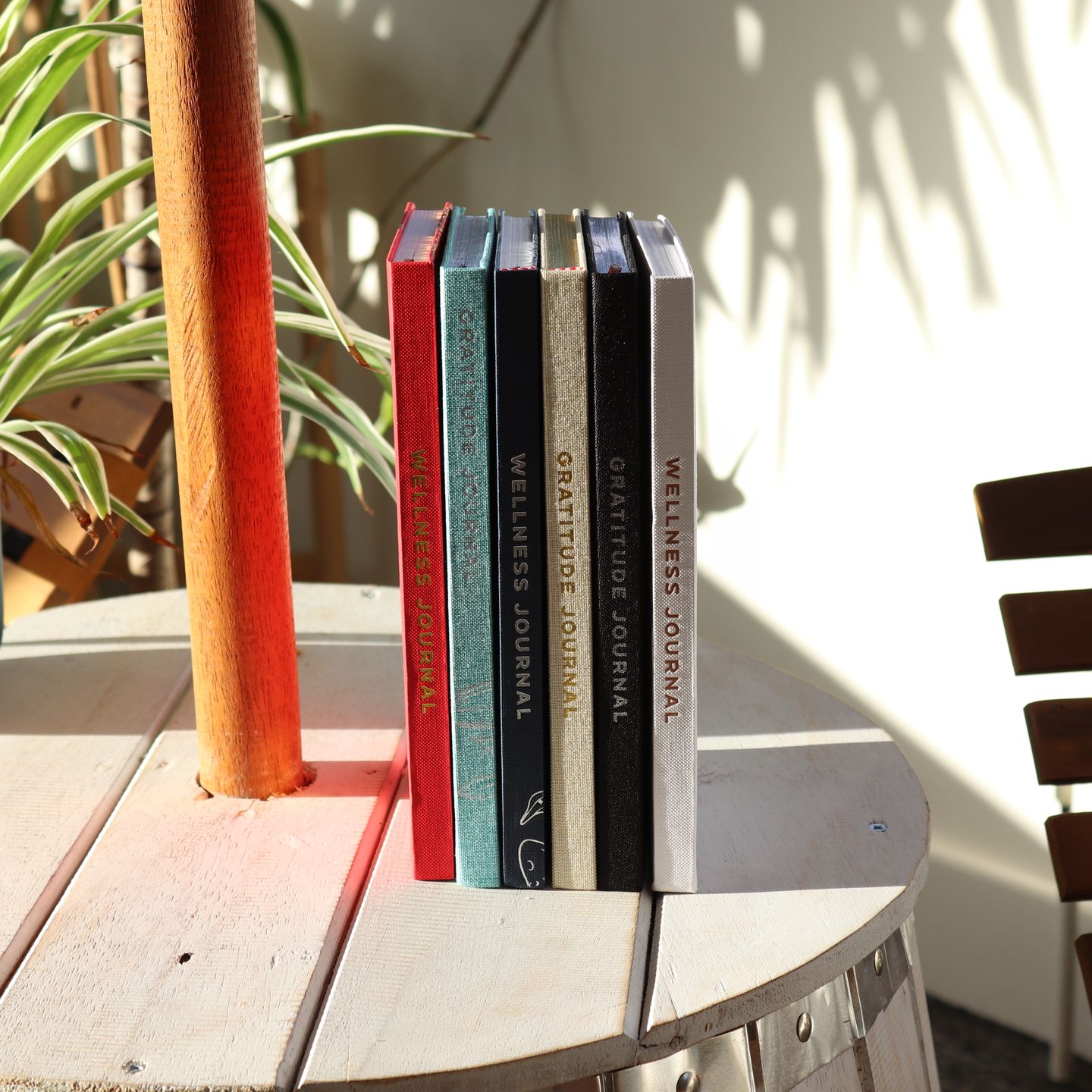 Wellness & Gratitude Journals