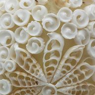 Boho Sea Shell Lamp - Cut Art Shell Oval - 15cm