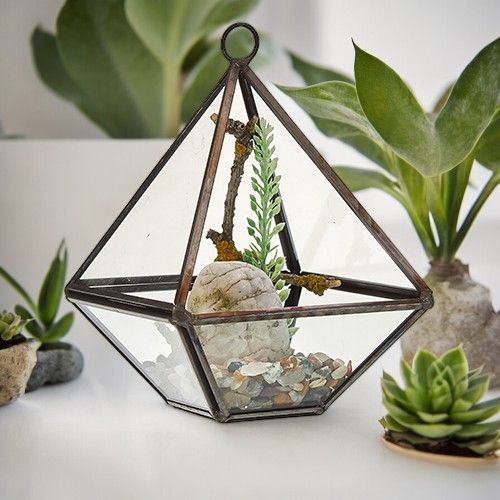 Glass Terrariums