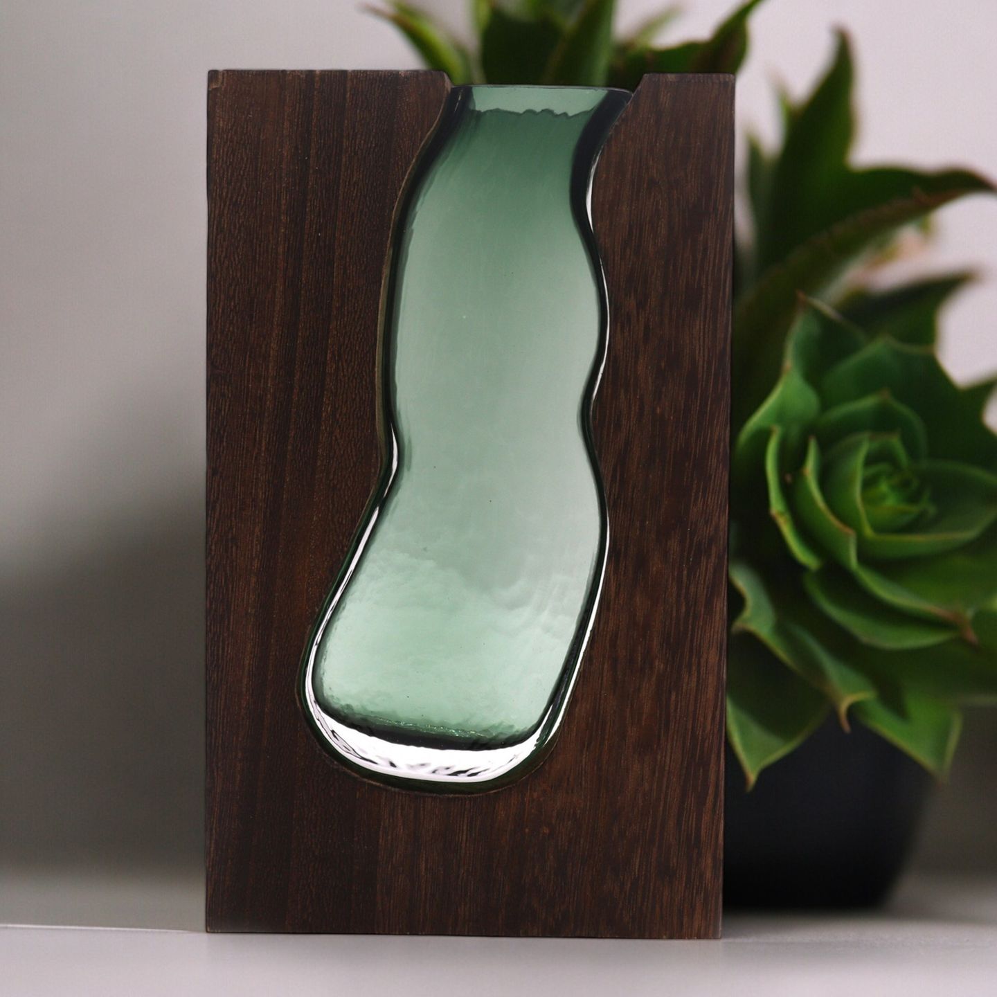 Glass Terrariums