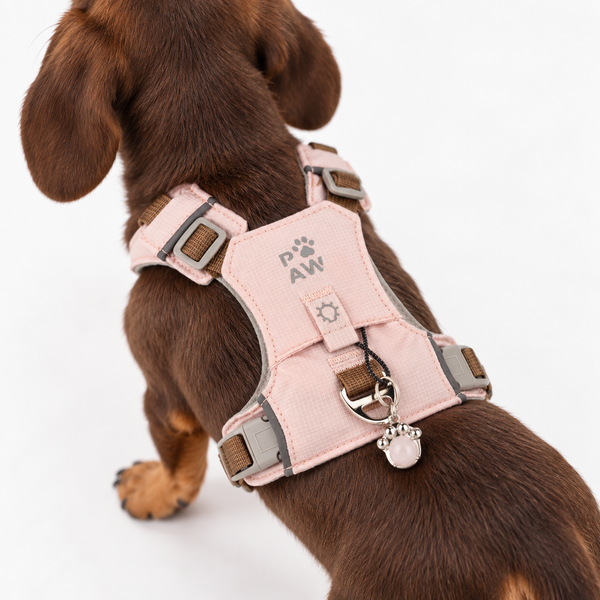PAW Dog Guardian Harness with Rose Quartz Charm - (2-4kg)