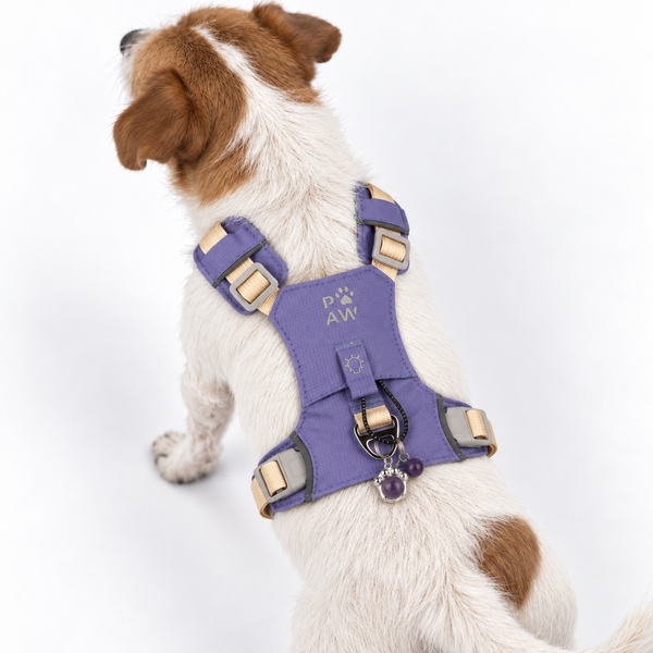 PAW Dog Guardian Harness with Amethyst Charm - (4-8kg)