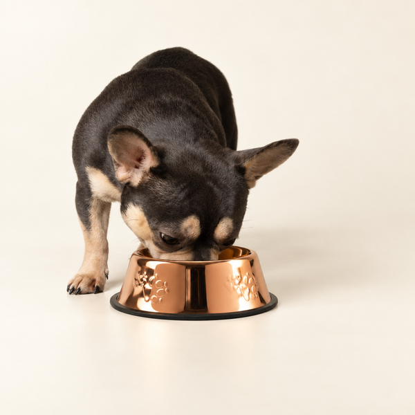 PAW Food Bowls - Single Copper Style - 18cm - Stainless Steel