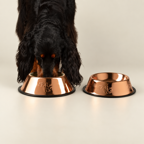 PAW Food Bowls - Single Copper Style - 22cm - Stainless Steel