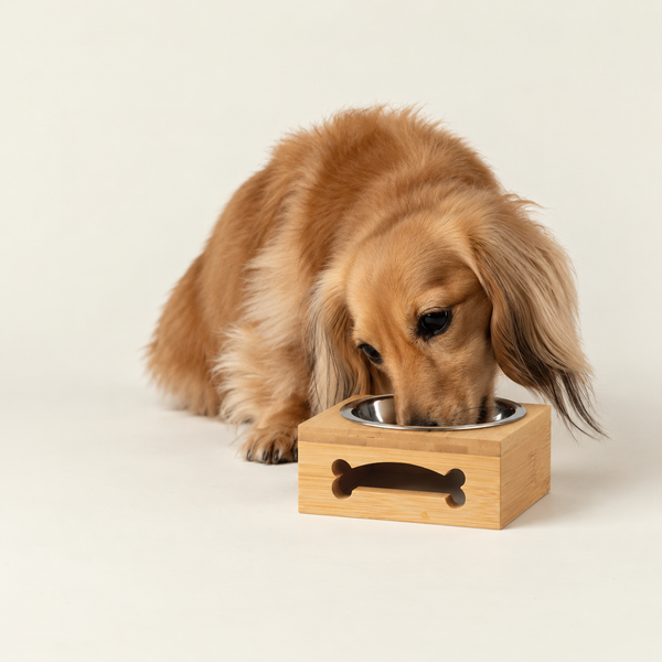 PAW Food Bowls - Single Stainless Steel in Wooden Stand - 12cm