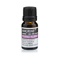 Top 12 Essential Oils