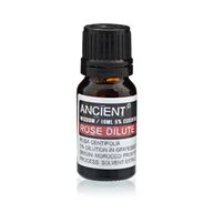 Top 12 Essential Oils