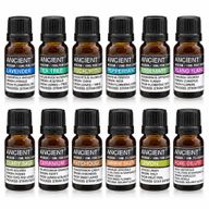 Top 12 Essential Oils