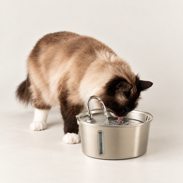 PAW Electric Water Fountain 2.5 Litre - USB - Stainless Steal
