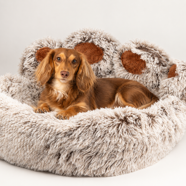 Paw Bed - Large Big-Paw - 70cm