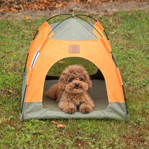 Paw Bed - Green & Orange Tent - 48x48x40cm