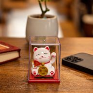 Mini Solar Powered Money Cat in Box - White