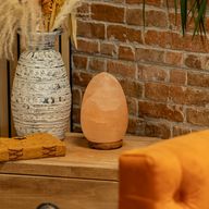 Salt Lamp Egg - Wooden Base