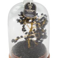 Gemstone Dome Garden - Black Tourmaline & LED lights - 200 chipstones
