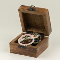 Small Enamelled Box -  Leo