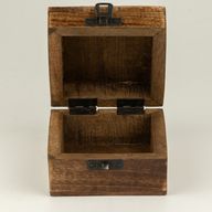 Small Enamelled Box -  Leo