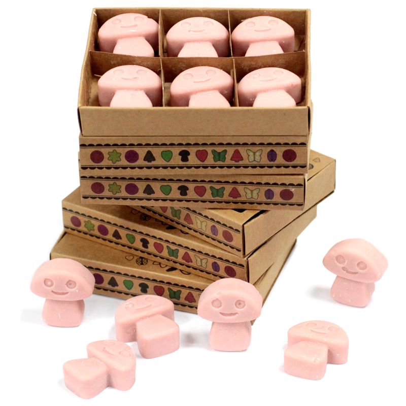 Natural Soy Wax Melts Starter Pack with 4-Tier Display Stand