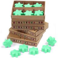 Natural Soy Wax Melts Starter Pack with 4-Tier Display Stand