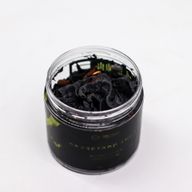Wicked Whip – Halloween Whipped Cream Soap