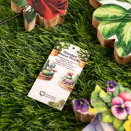 Wooden House Plants - Large Pansy