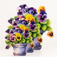Wooden House Plants - Mini Pansy