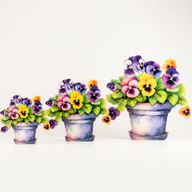 Wooden House Plants - Medium Pansy