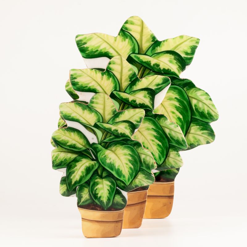 Wooden House Plants - Mini Jungle Plant