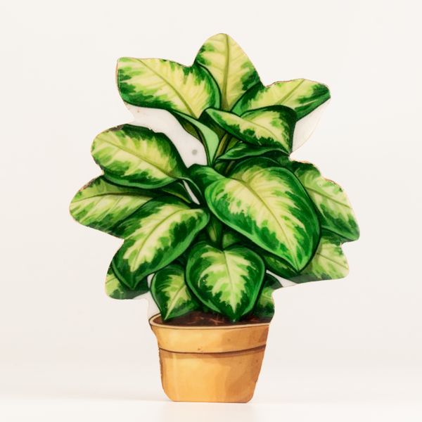 Wooden House Plants - Medium Jungle Plant
