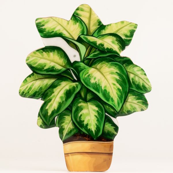 Wooden House Plants - Large Plant