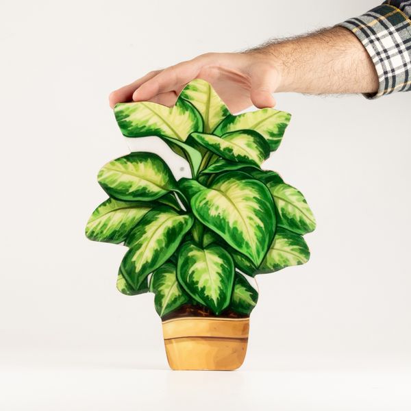 Wooden House Plants - Large Plant
